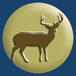 Deer Hunting