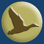 Waterfowl Hunting