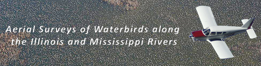 Aerial Surveys of Waterbirds